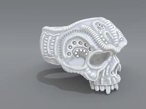 ring scull 3D Print Model