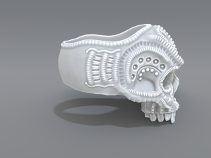 ring scull 3D 프린트 모델