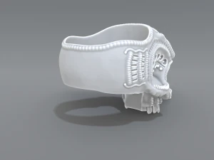 ring scull 3D Print Model