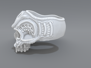 ring scull 3D 프린트 모델