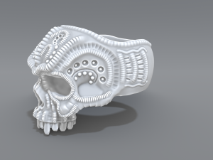 ring scull 3D 프린트 모델