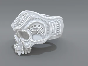 ring scull 3D Print Model