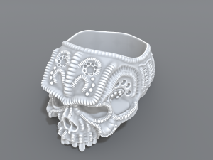 ring scull 3D 프린트 모델