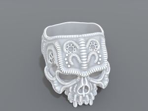 ring scull 3D 프린트 모델