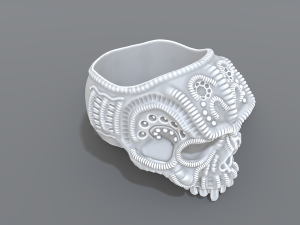 ring scull 3D 프린트 모델
