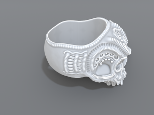 ring scull 3D 프린트 모델