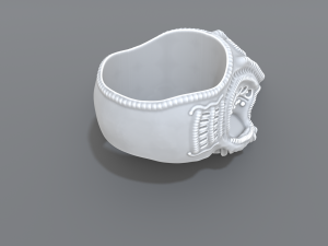 ring scull 3D 프린트 모델