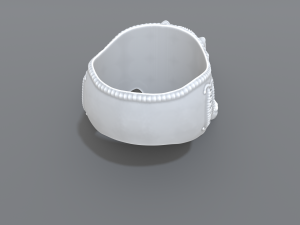 ring scull 3D 프린트 모델