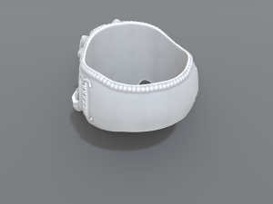 ring scull 3D 프린트 모델