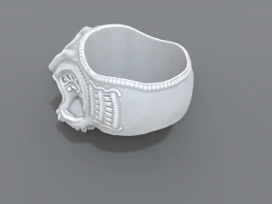 ring scull 3D Print Model