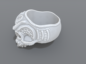 ring scull 3D 프린트 모델
