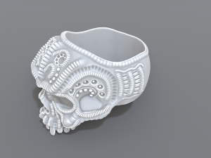 ring scull 3D 프린트 모델