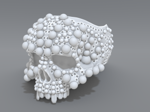 ring scull 3D 打印模型