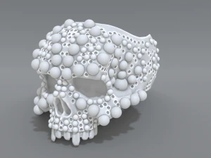 环形双桨 3D 打印模型