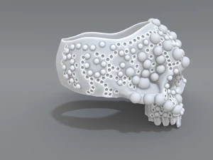 ring scull 3D Print Model