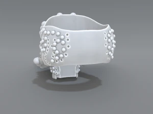 ring scull 3D Print Model