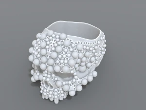 ring scull 3D Print Model