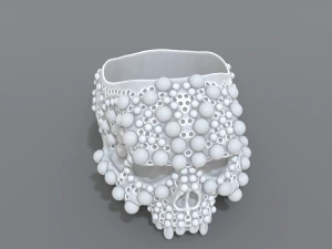 ring scull 3D Print Model