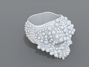 ring scull 3D Print Model
