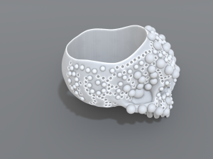 ring scull Modelo de impresión 3D