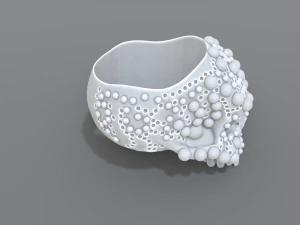ring scull 3D Print Model