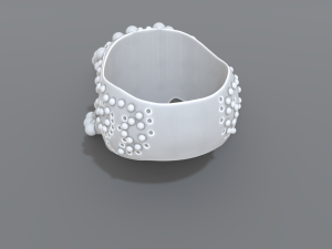 ring scull Modelo de impresión 3D