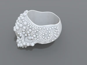 ring scull 3D Print Model