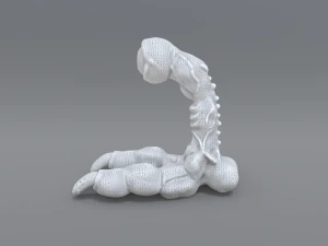 monster 3D Print Model