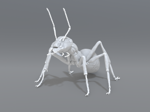 ant 3D-printmodel