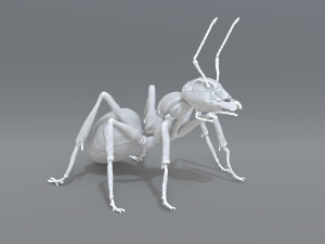 ant 3D प्रिंट मॉडल