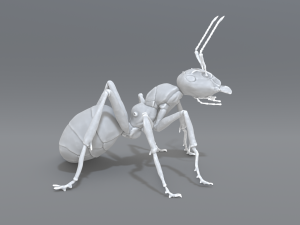 ant 3D प्रिंट मॉडल