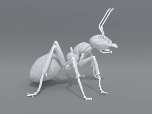 mier 3D printmodel