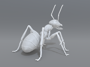 ant 3D प्रिंट मॉडल