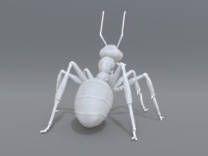 ant 3D प्रिंट मॉडल