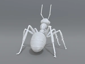 mier 3D printmodel