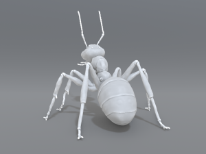 ant 3D प्रिंट मॉडल