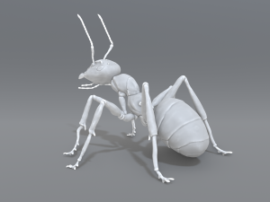 ant 3D प्रिंट मॉडल