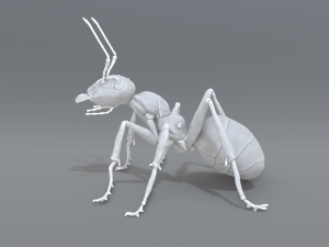 ant 3D प्रिंट मॉडल