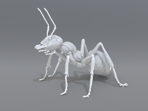 ant 3D प्रिंट मॉडल