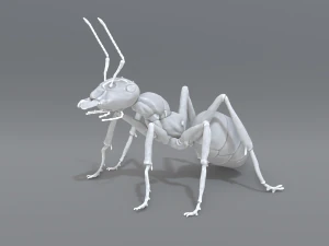 mier 3D printmodel