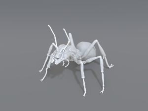 ant 3D प्रिंट मॉडल