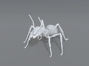 mier 3D printmodel