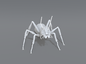 ant 3D प्रिंट मॉडल