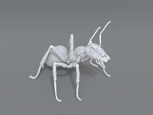 ant 3D प्रिंट मॉडल