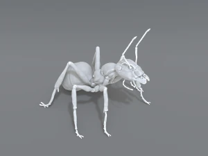 mier 3D printmodel