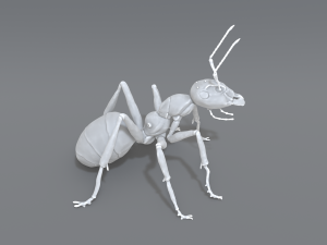 ant 3D प्रिंट मॉडल