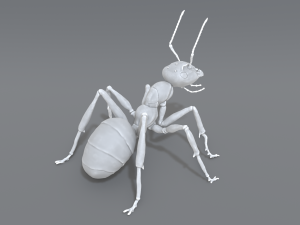 ant 3D प्रिंट मॉडल