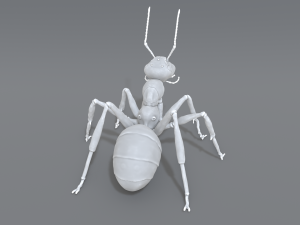 ant 3D प्रिंट मॉडल