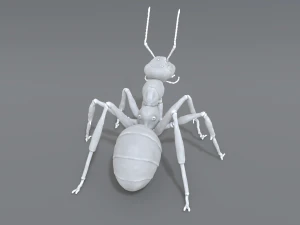 mier 3D printmodel