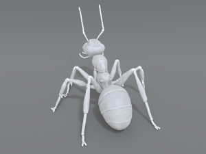 ant 3D प्रिंट मॉडल